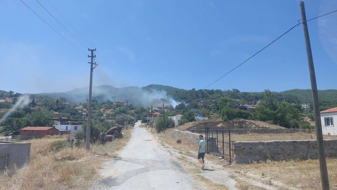 Milas'ta Korkutan Yangın: Alevler Mahalleyi Sardı, Evler Son Anda Kurtarıldı 1